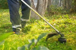 lawn care